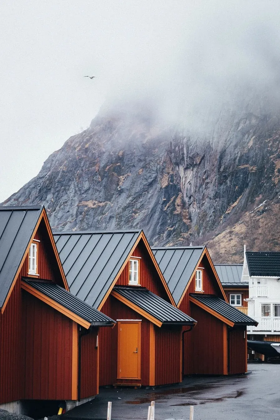 Hire Roofing Contractors Hamilton · Roofbuddy